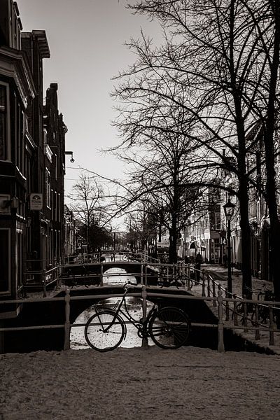 Delft historique par Paul Schlüter