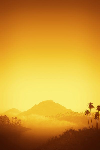 orange landscape by Markus Gann