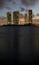 Quad Towers Miami von Mark den Hartog Miniaturansicht