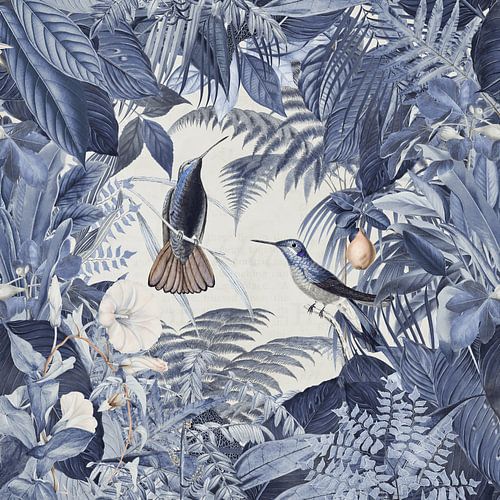 Kolibries Tropische Tuin