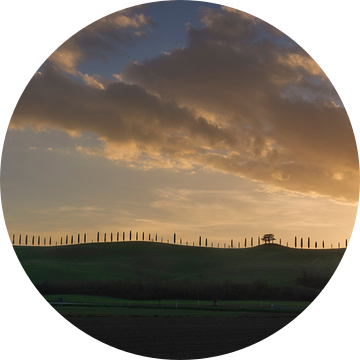 Cipressen aan de rand van de heuvel in de Crete Senesi