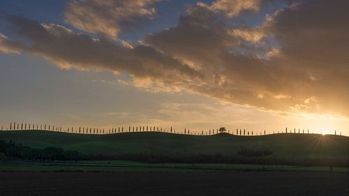 Cipressen aan de rand van de heuvel in de Crete Senesi
