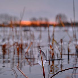 Tropfen von Eis in der ruhigen Natur entlang des Wassers bei Sonnenaufgang von BJ Fleers