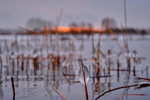 Drop of ice in the quiet nature along the water at sunrise
