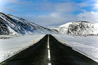 Roadtrip ijsland