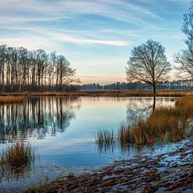 Groot Zeilmeer sur rosstek ®