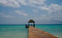Caribbean dream