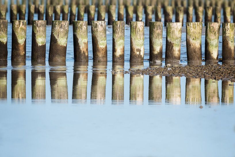 wooden groynes in rows at the sea with reflections on the water surface, coast protection in the Bal by Maren Winter