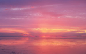 Evening light on the mudflats