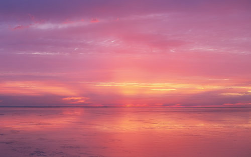 Evening light on the mudflats