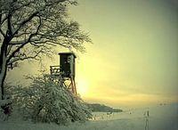 At the high seat in winter