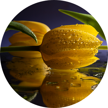 Gele tulpen met reflectie van Marjolijn van den Berg