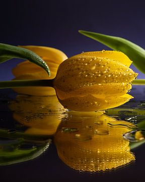 Gele tulpen met reflectie van Marjolijn van den Berg