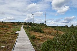 Hornisgrinde im Schwarzwald von Thomas Marx