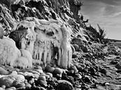 Eismammut – Steilküste Hohes Ufer, Ahrenshoop, Darß von Jörg Hausmann Miniaturansicht