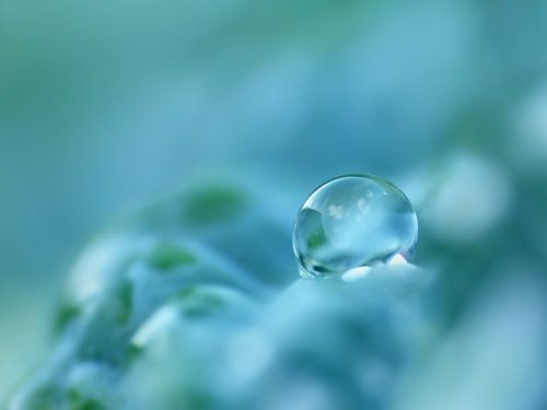 Aquamarina (goutte d'essence, cyan ou aigue-marine)