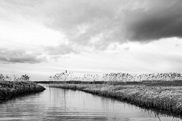 Oneindig laagland van Marlies Gerritsen Photography