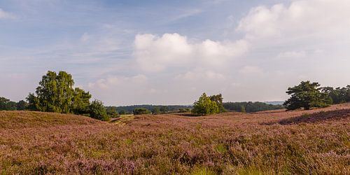 Schrieversheide at Brunssum