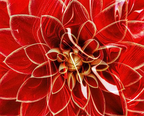 The Birth of RED