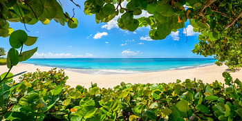 Plage tropicale des Caraïbes