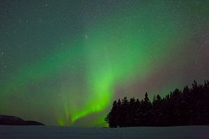 Nordlicht in Schwedisch-Lappland von Arnold van Rooij