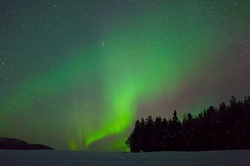 Northern lights in Swedish Lapland by Arnold van Rooij