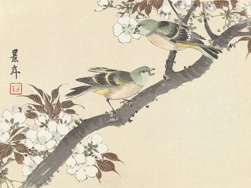Imao Keinen - Two green birds on a flowering branch (1892-1911)