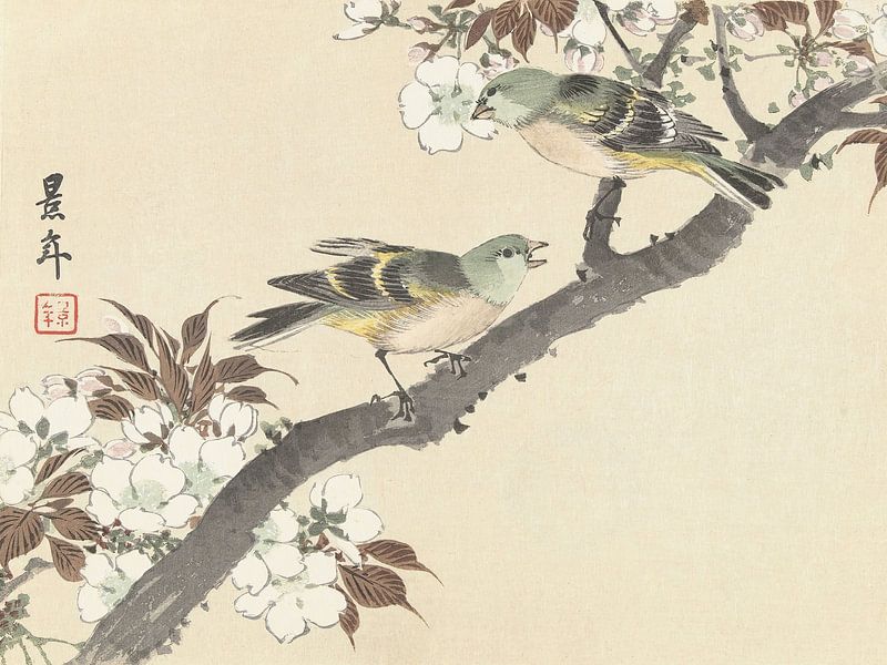 Imao Keinen - Two green birds on a flowering branch (1892-1911) by Peter Balan