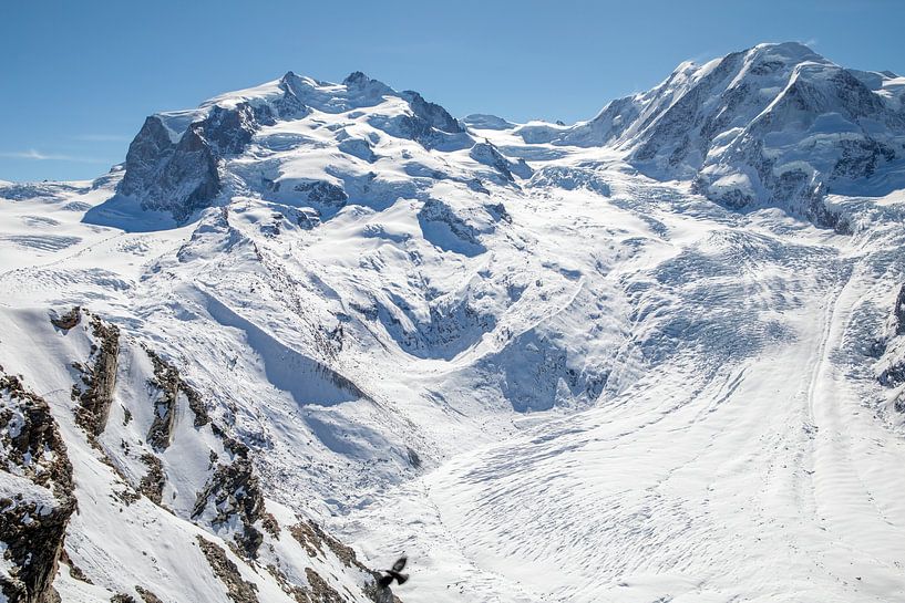 Uitzicht op de gletsjers Gorner, Grenz en Zwilling vanaf de Gornergrat van t.ART