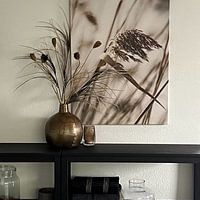 Photo de nos clients: Des roseaux dans le vent par Evelien, sur toile