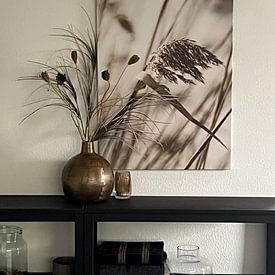 Photo de nos clients: Des roseaux dans le vent par Evelien, sur toile