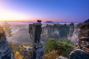 Wehlnadel zum Sonnenaufgang