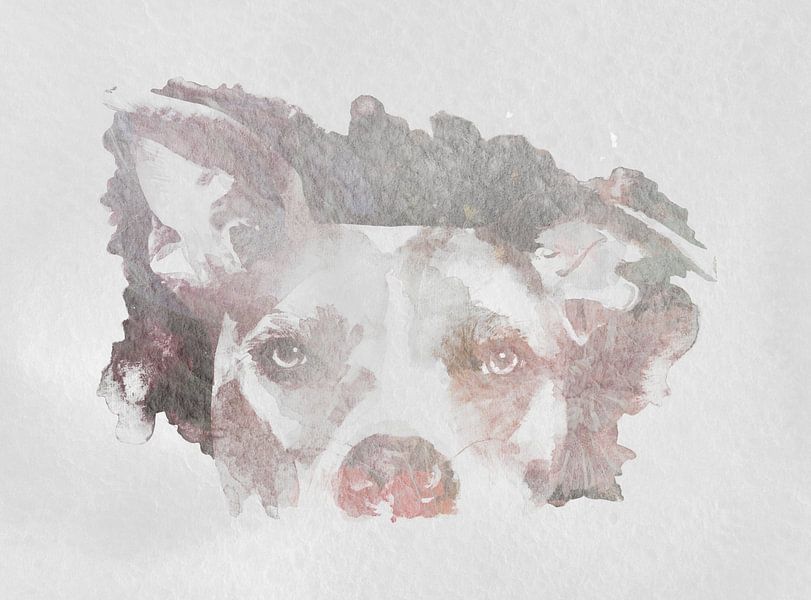 Aquarel van een hond voor een industrieel interieur