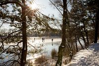 Skaters in winter