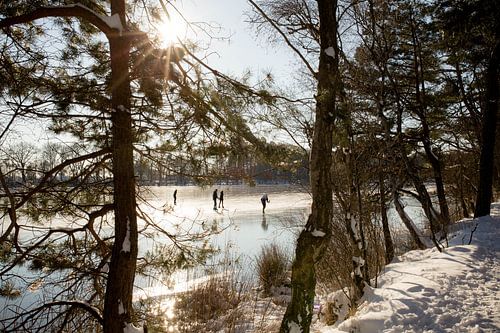 Skaters in winter