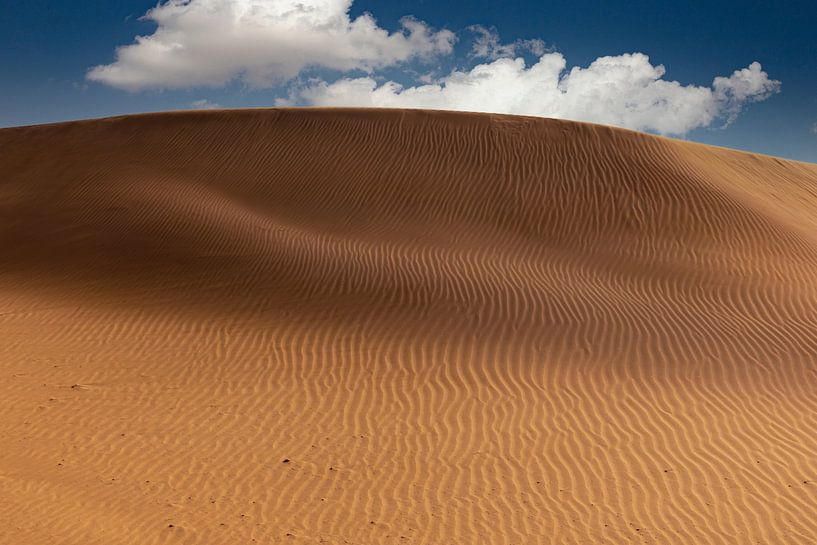 Sanddünen, Maspalomas, Gran Canaria. Fototapete von Gert Hilbink