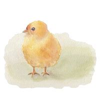 Aquarel Pasen kuiken lenten met witte achtergrond