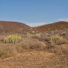 Vulkanisch Landschap van Malpaís de Rasca, Tenerife van Kristof Lauwers