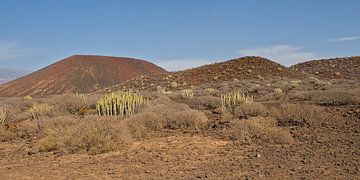Vulkanisch Landschap van Malpaís de Rasca, Tenerife van Kristof Lauwers