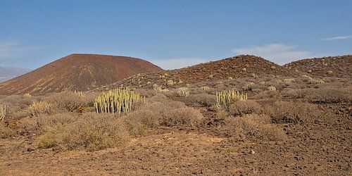 Vulkanisch Landschap van Malpaís de Rasca, Tenerife van Kristof Lauwers