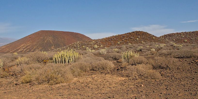 Volcanic Landscape of Malpaís de Rasca, Tenerife by Kristof Lauwers