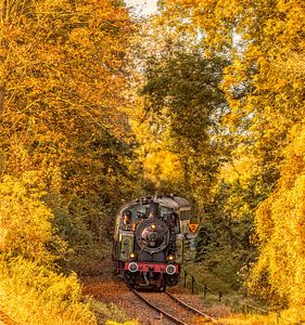 Autumn at the Miljoenenlijn in South Limburg