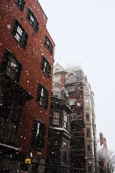 Boston by Hello Pompoyo
