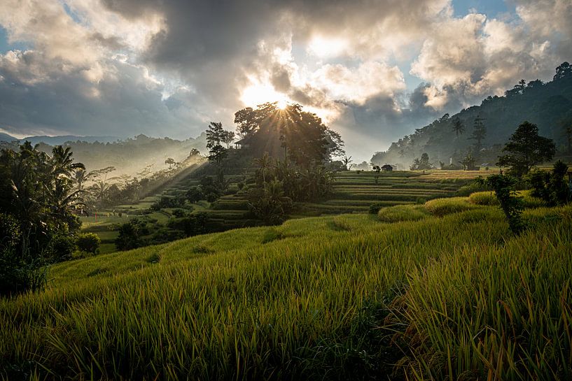 Sunrise over the rice fields of Sidemen, Bali by Ellis Peeters