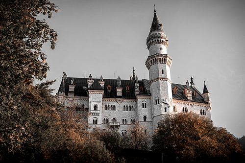 Kasteel Neuschwanstein