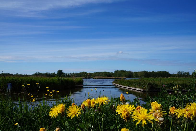 Niederländisches Naturwasser von Martine Overkamp-Hovenga