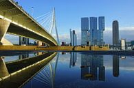 Erasmusbrug in Rotterdam van Michel van Kooten thumbnail