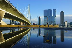 Erasmusbrücke in Rotterdam