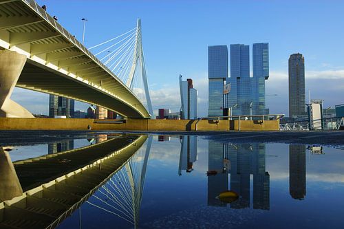 Erasmusbrug in Rotterdam van Michel van Kooten