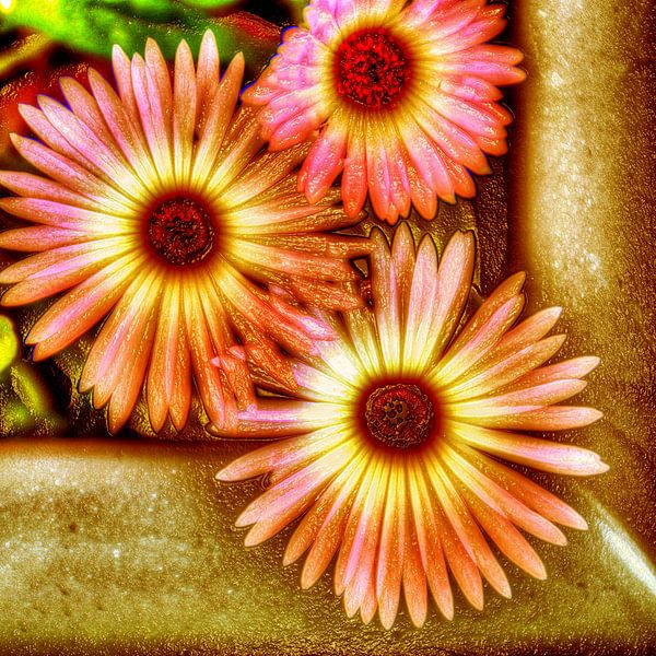 Digital Art Medium Flowers Warm by Hendrik-Jan Kornelis